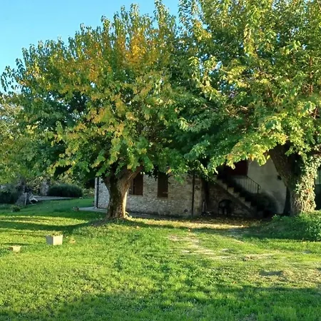 Canonici