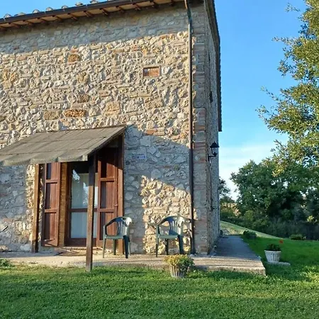 Canonici Amelia