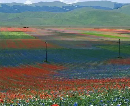 Vakantieboerderij Canonici