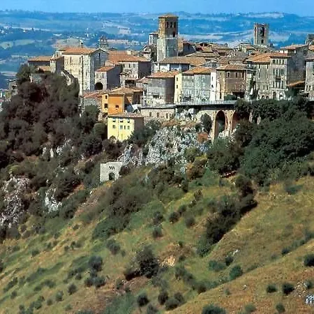 Canonici Amelia