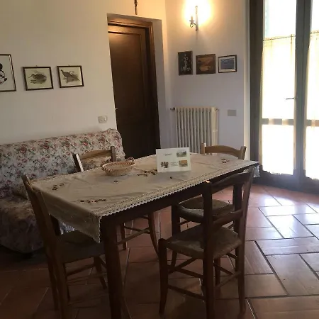 Canonici * Amelia